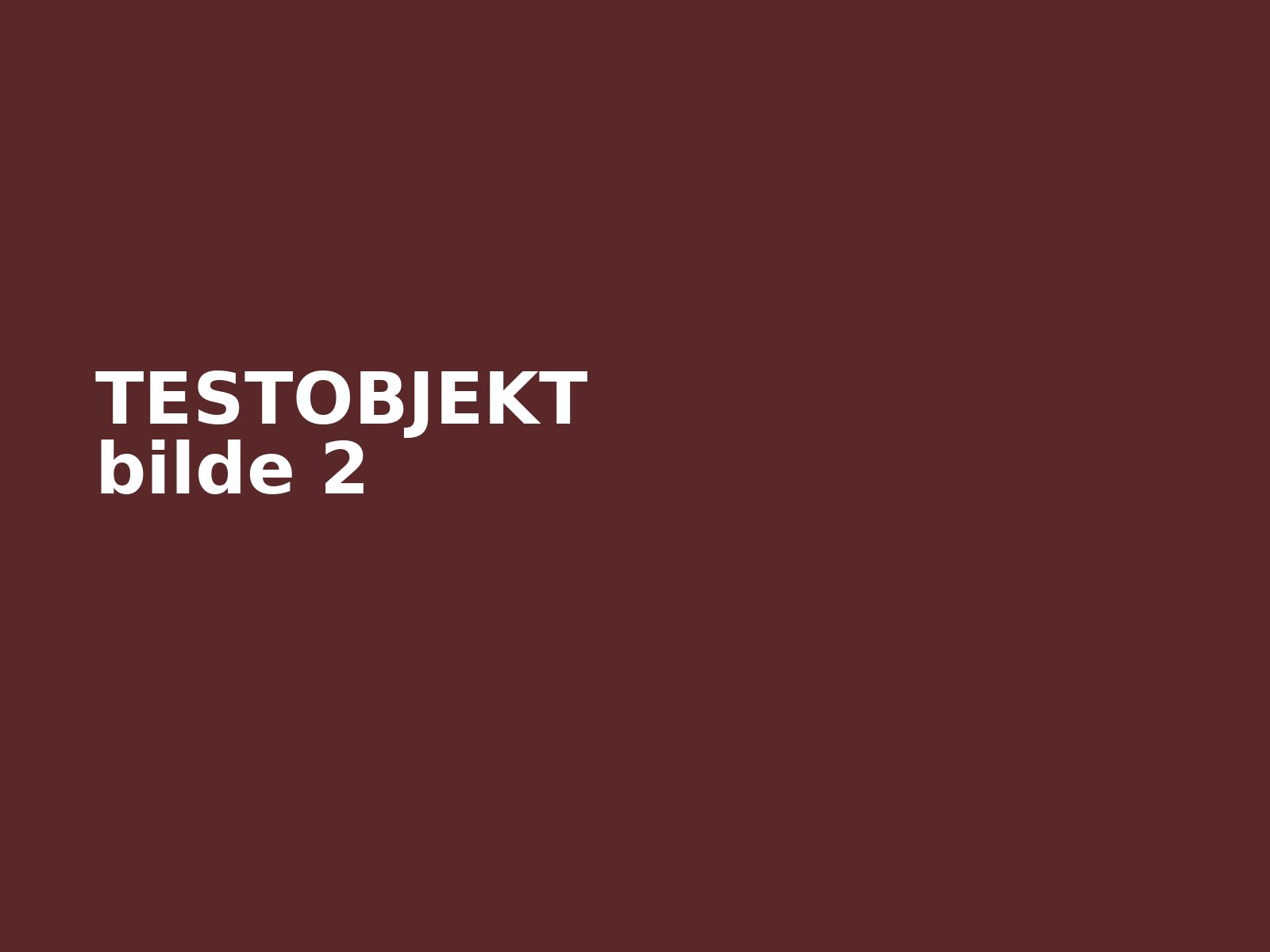 TEST Think City 2008 elbil – bilde 2