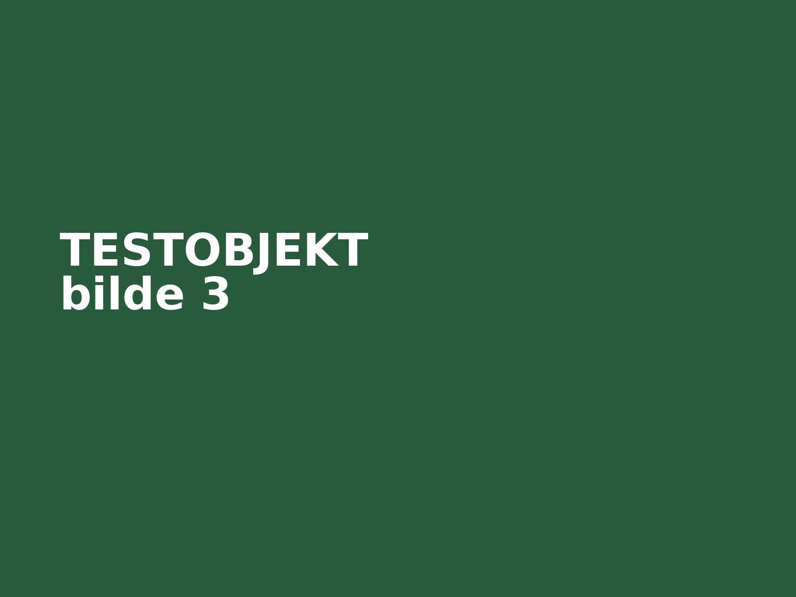 TEST Think City 2008 elbil – bilde 3
