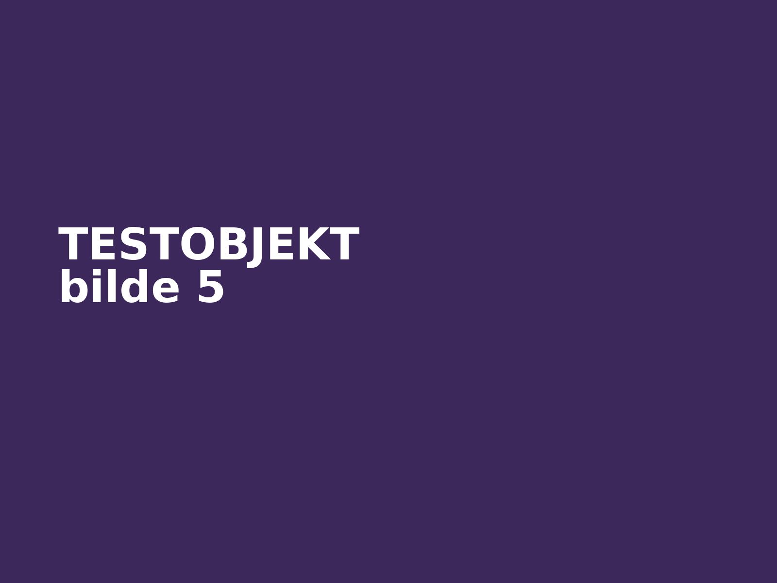 TEST Think City 2008 elbil – bilde 5