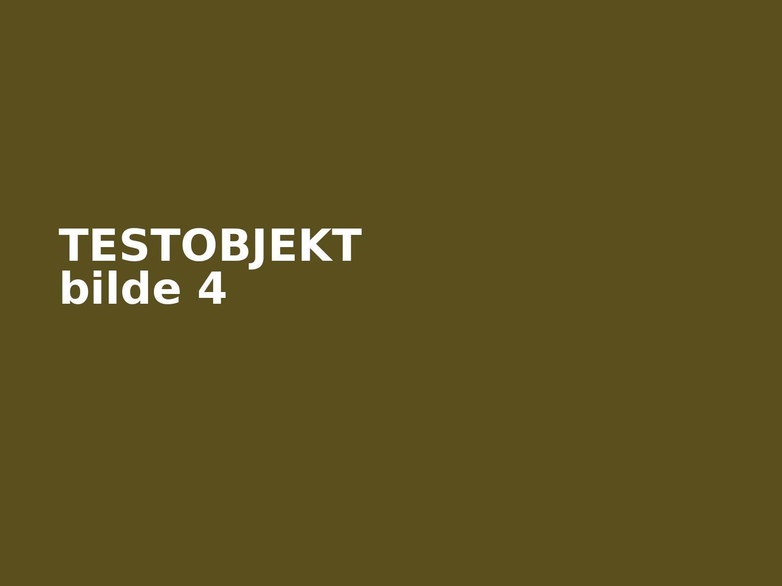 TEST Motorbåt kvalitetssjekk – bilde 4