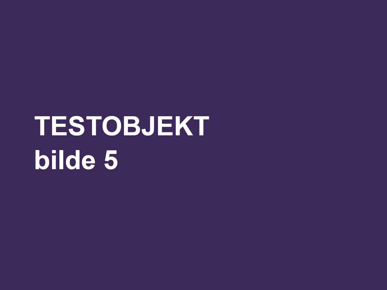TEST Samleobjekt kvalitetssjekk – bilde 5