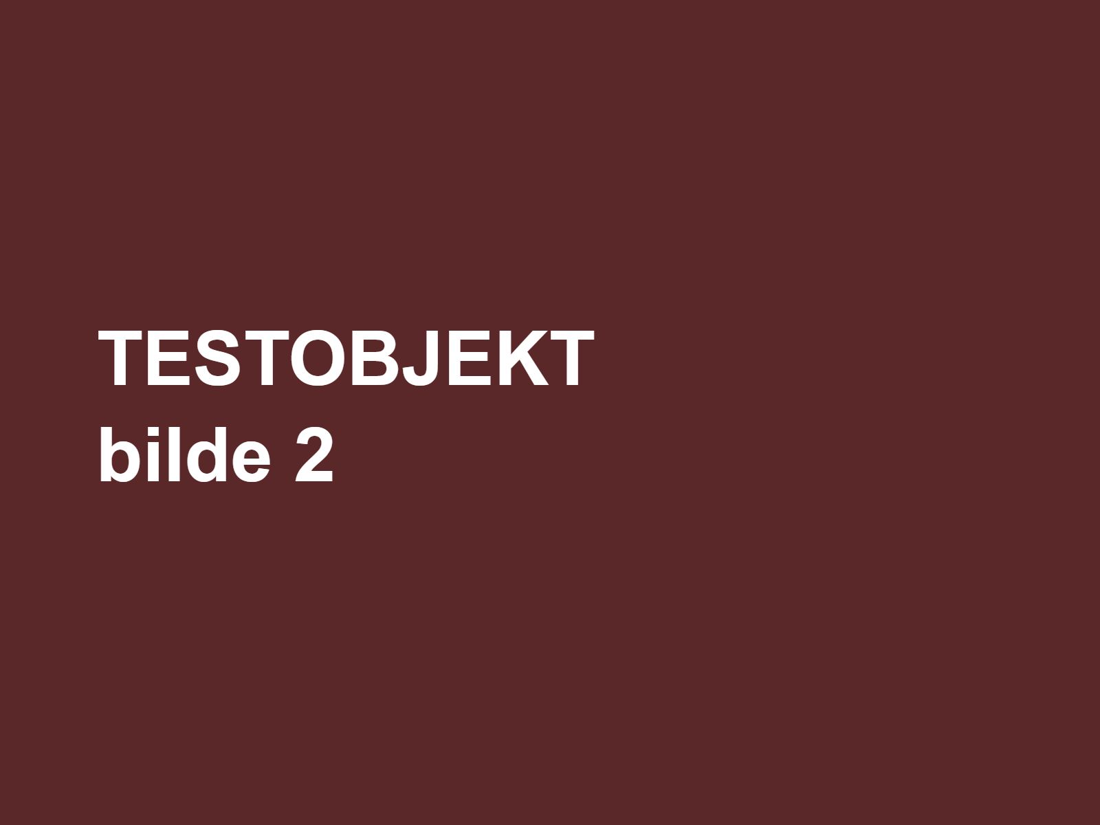 TEST Smykke kvalitetssjekk – bilde 2