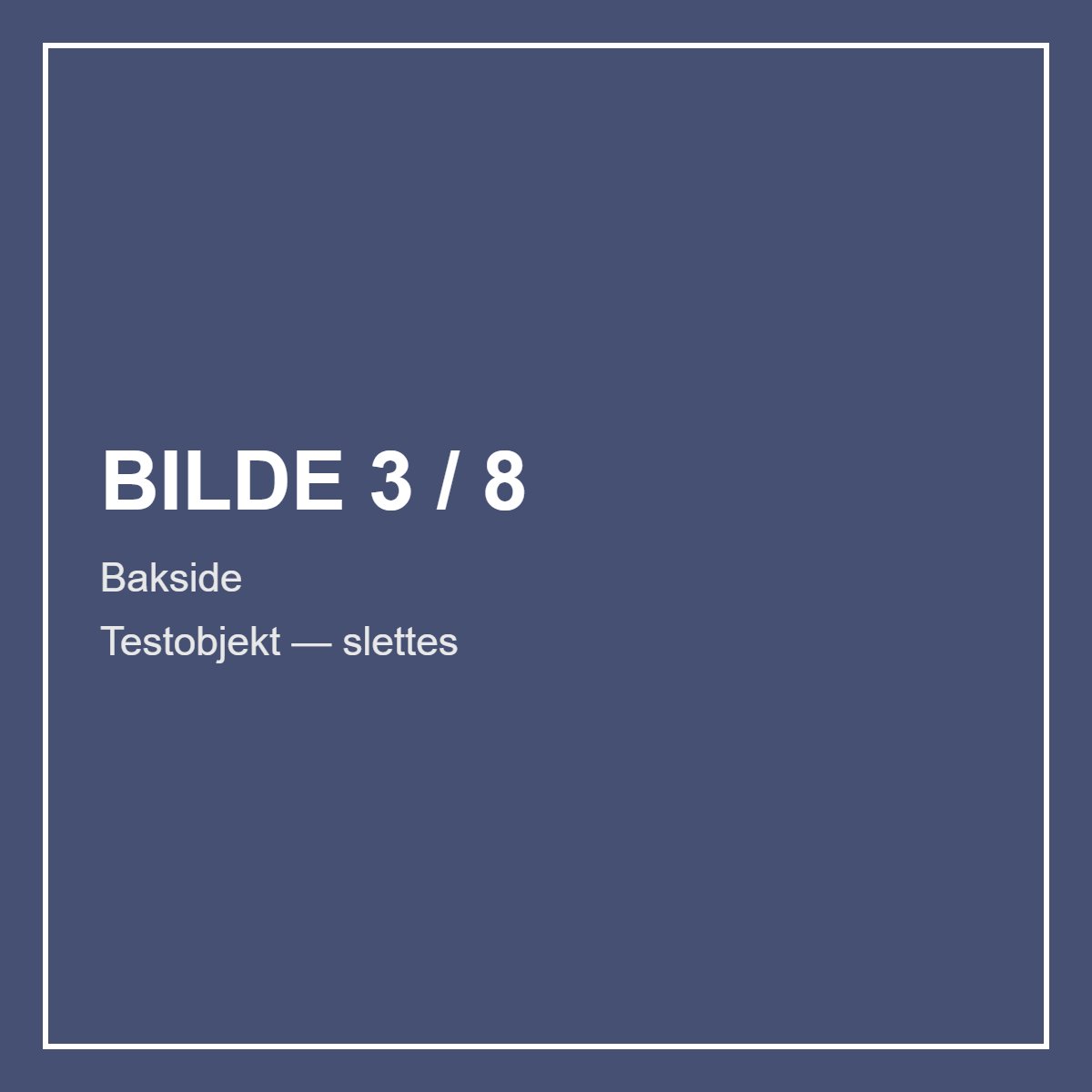 Rolex Test Test — 2020 – bilde 3