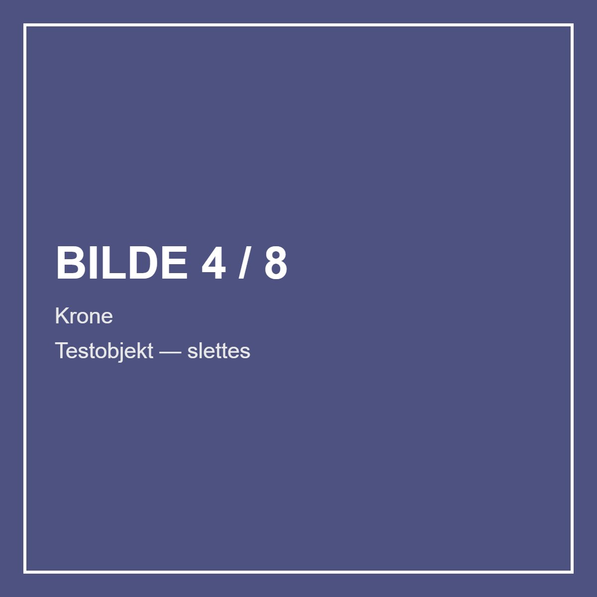 Rolex Test Test — 2020 – bilde 4