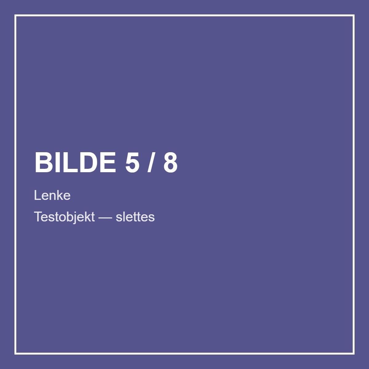 Rolex Test Test — 2020 – bilde 5