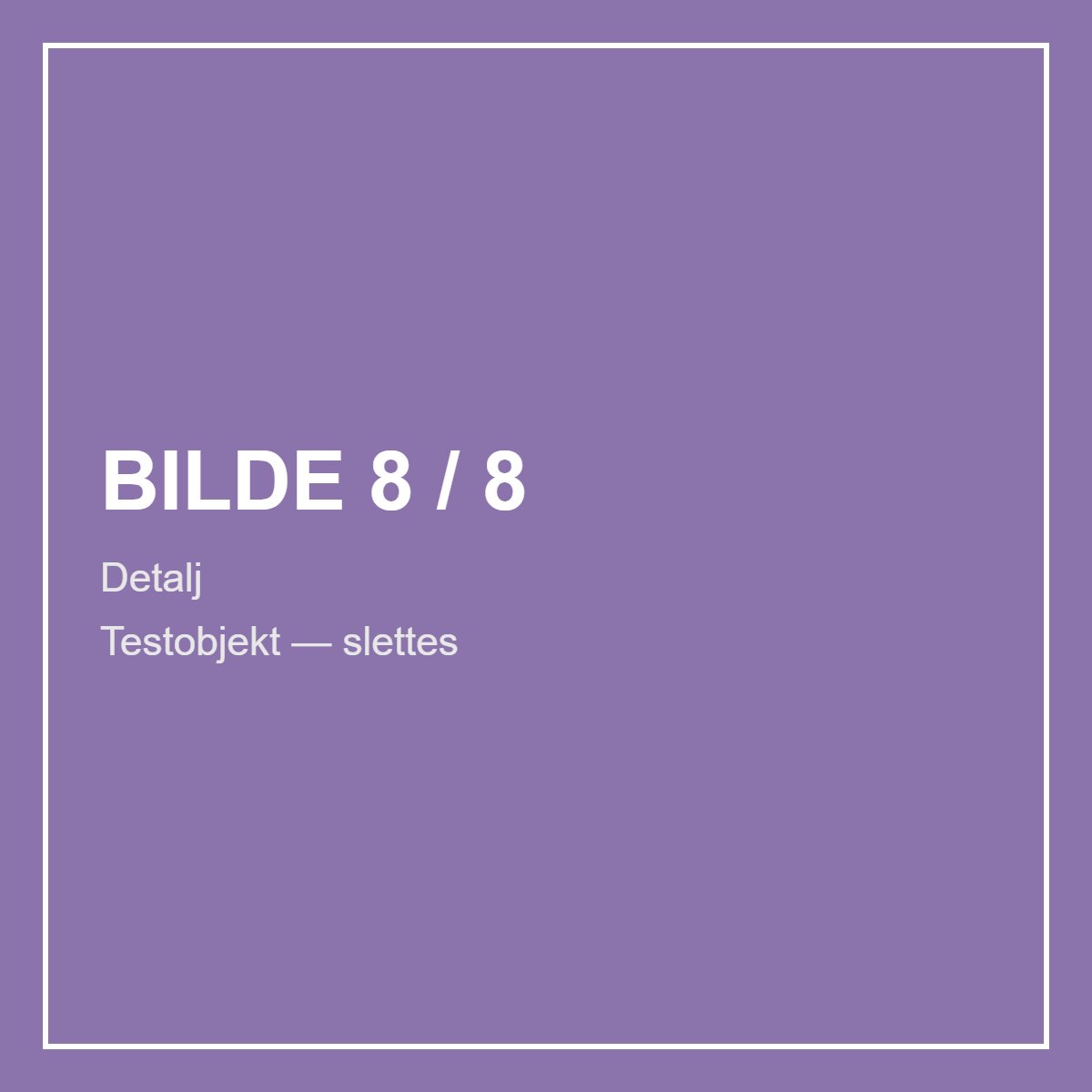 Rolex Test Test — 2020 – bilde 8